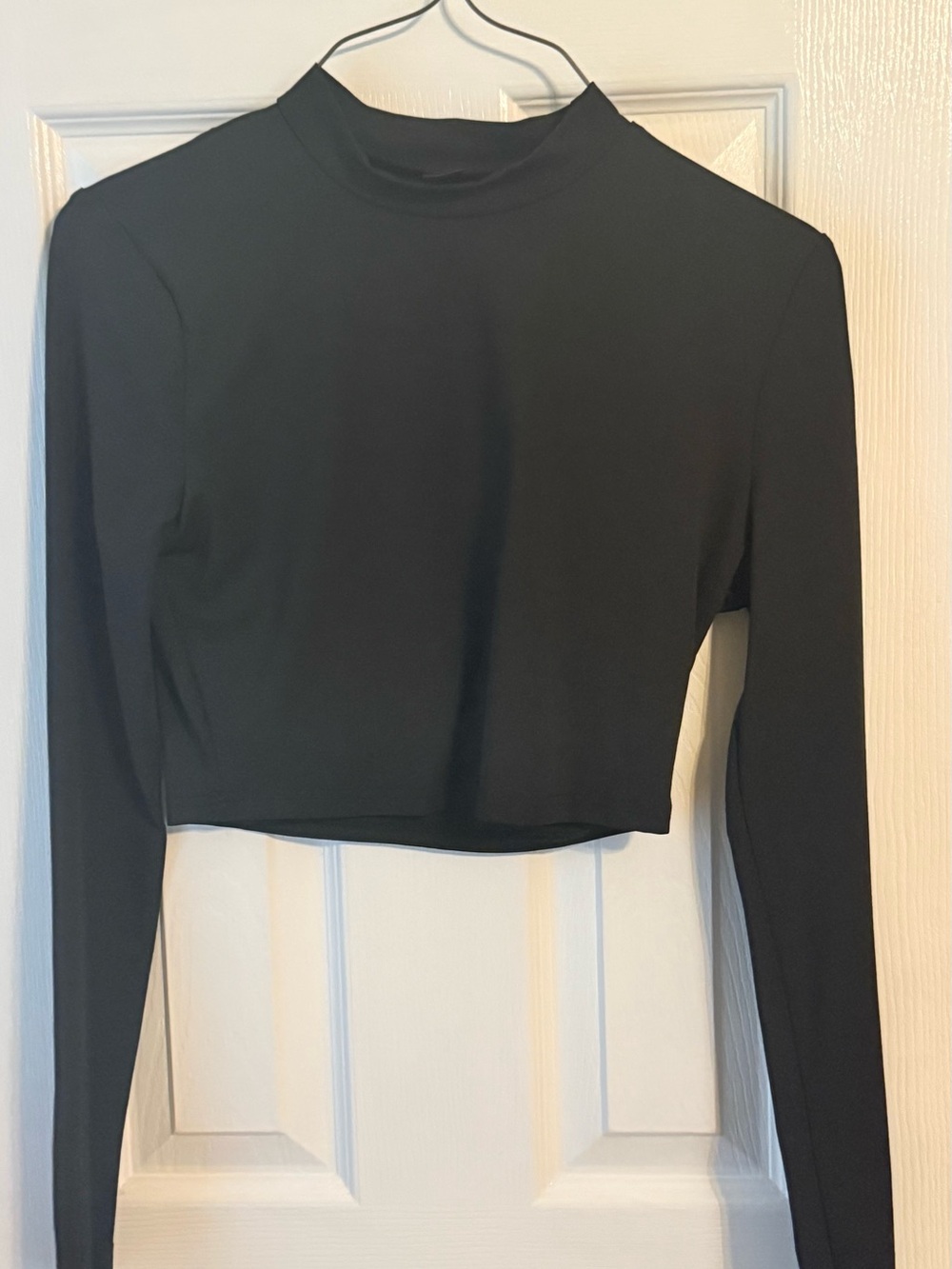 SHEIN Black Long Sleeve Mock Neck Crop Top